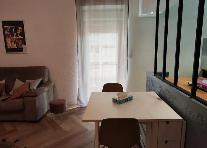Le Petit Angle Appartement 2 Pieces, Plein Centre Ville, Pres De La Gare Jusqu\'A 4 Personnes